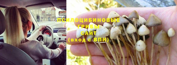 прущая мука Вязьма
